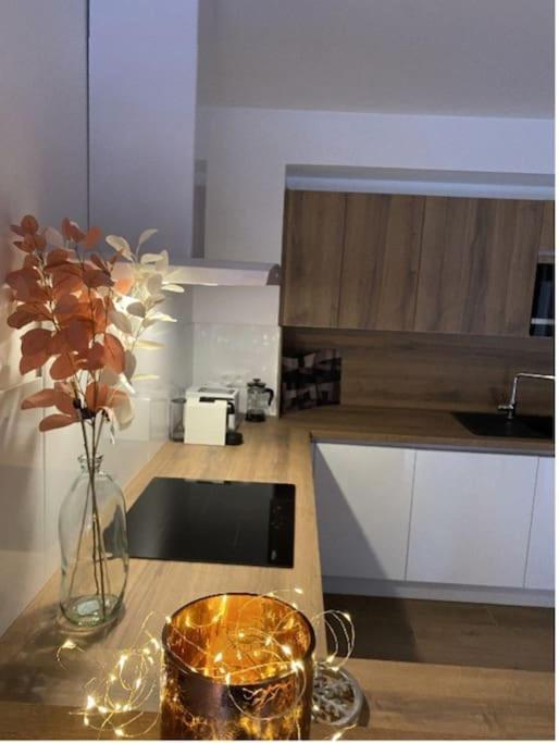 Le Doux Meleze Apartment Saint-Chaffrey Ngoại thất bức ảnh